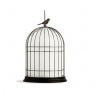 Итальянский светильник FREEDOM BATTERY Outdoor от Contardi Итальянский светильник FREEDOM BATTERY Outdoor от Contardi